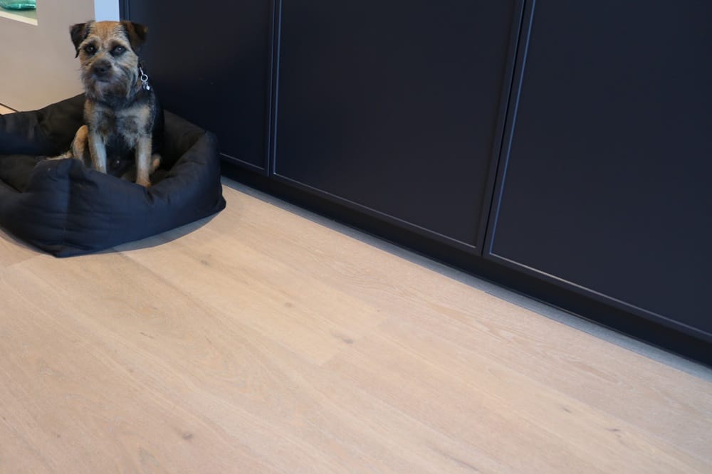 Engineered oak flooring fitted in a Cambridge home with dark kitchen units and a dog resting on a pet bed.