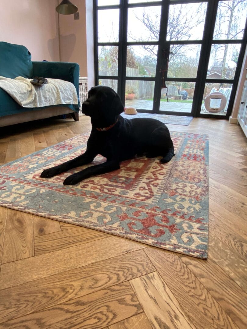 Herringbone oak flooring fitted in a Cambridge living room with natural light
