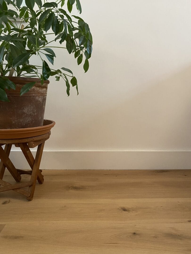 Ash engineered wood floor meeting a white skirting board beside a potted plant