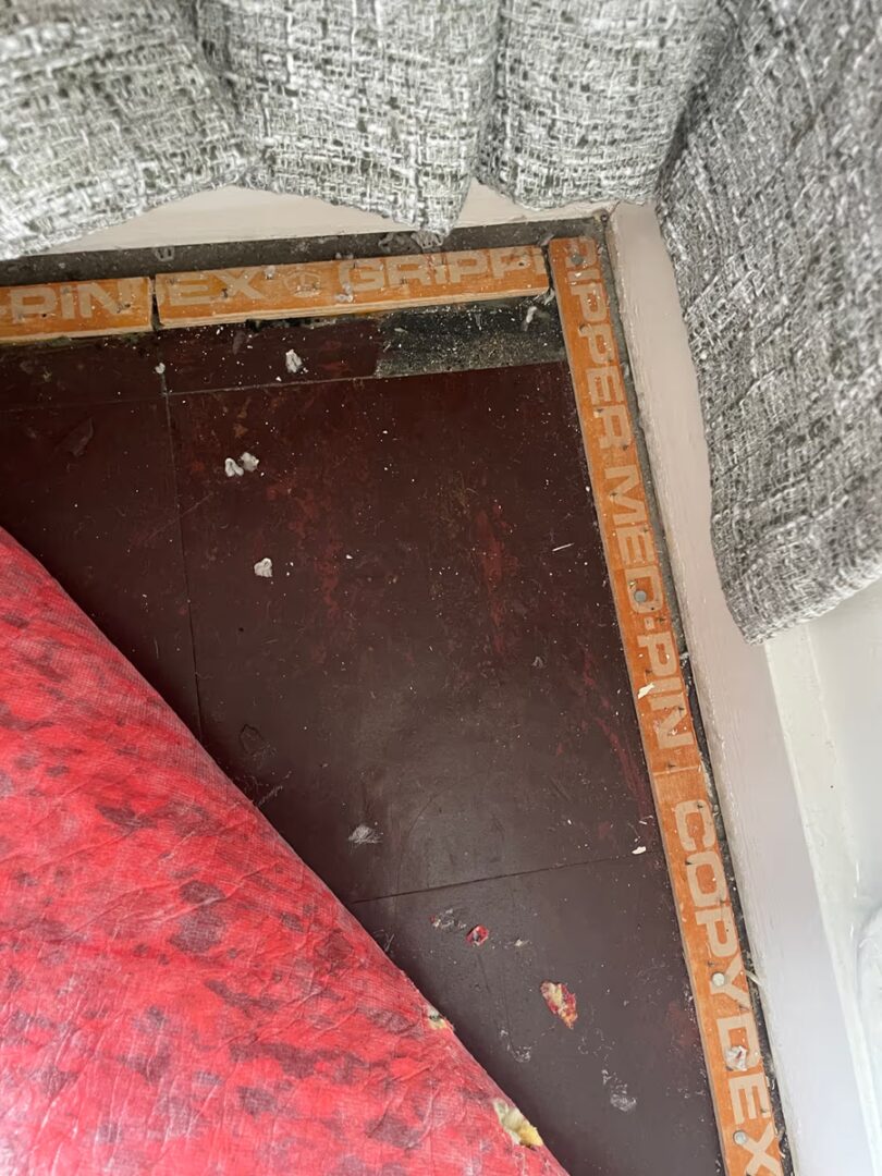 Corner of a room with carpet folded back showing a dark plywood subfloor and carpet gripper rods